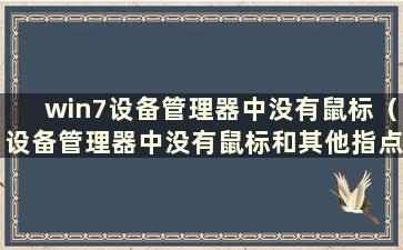 win7设备管理器中没有鼠标（设备管理器中没有鼠标和其他指点设备）