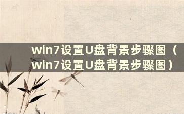 win7设置U盘背景步骤图（win7设置U盘背景步骤图）