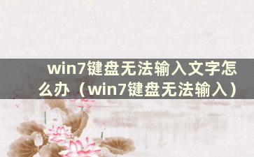 win7键盘无法输入文字怎么办（win7键盘无法输入）