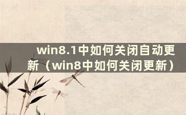 win8.1中如何关闭自动更新（win8中如何关闭更新）