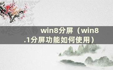 win8分屏（win8.1分屏功能如何使用）