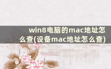 win8电脑的mac地址怎么查(设备mac地址怎么查)