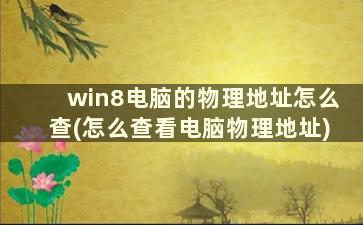 win8电脑的物理地址怎么查(怎么查看电脑物理地址)