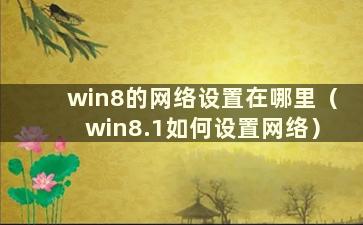 win8的网络设置在哪里（win8.1如何设置网络）