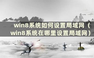 win8系统如何设置局域网（win8系统在哪里设置局域网）