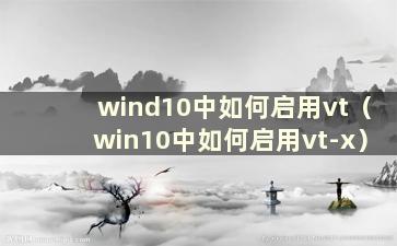 wind10中如何启用vt（win10中如何启用vt-x）