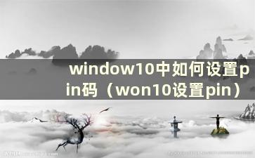 window10中如何设置pin码（won10设置pin）