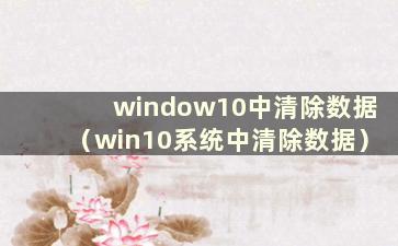 window10中清除数据（win10系统中清除数据）