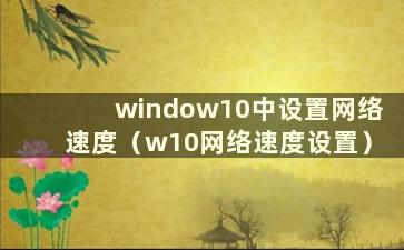 window10中设置网络速度（w10网络速度设置）