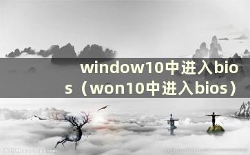 window10中进入bios（won10中进入bios）