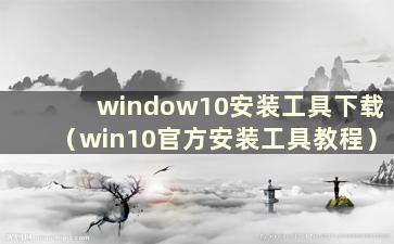 window10安装工具下载（win10官方安装工具教程）