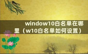 window10白名单在哪里（w10白名单如何设置）