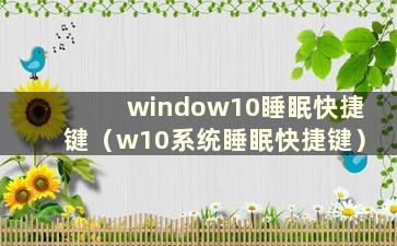 window10睡眠快捷键（w10系统睡眠快捷键）