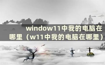 window11中我的电脑在哪里（w11中我的电脑在哪里）