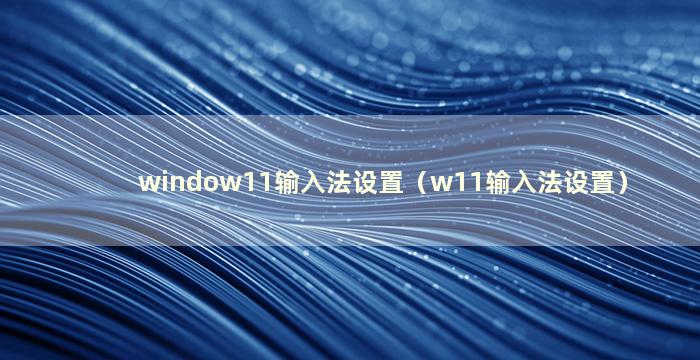 window11输入法设置（w11输入法设置）