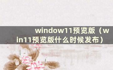 window11预览版（win11预览版什么时候发布）