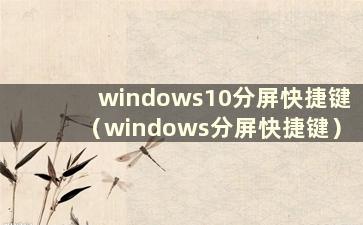 windows10分屏快捷键（windows分屏快捷键）