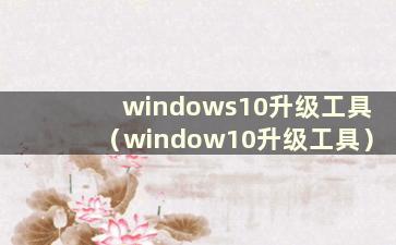 windows10升级工具（window10升级工具）