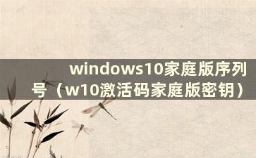 windows10家庭版序列号（w10激活码家庭版密钥）