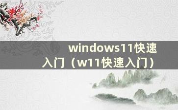 windows11快速入门（w11快速入门）