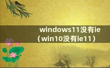 windows11没有ie（win10没有ie11）