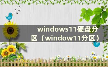 windows11硬盘分区（window11分区）