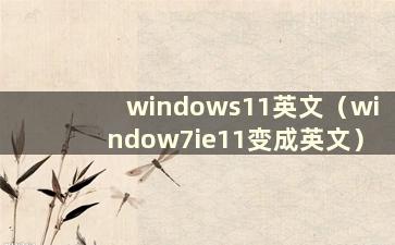 windows11英文（window7ie11变成英文）