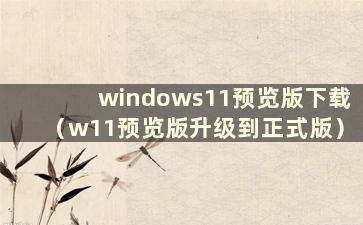 windows11预览版下载（w11预览版升级到正式版）