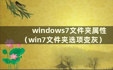 windows7文件夹属性（win7文件夹选项变灰）