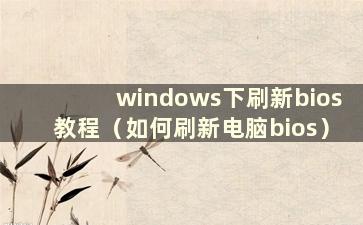 windows下刷新bios教程（如何刷新电脑bios）