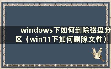 windows下如何删除磁盘分区（win11下如何删除文件）