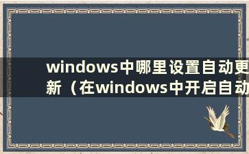 windows中哪里设置自动更新（在windows中开启自动更新）