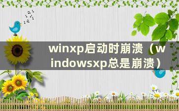 winxp启动时崩溃（windowsxp总是崩溃）