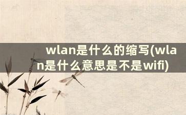 wlan是什么的缩写(wlan是什么意思是不是wifi)