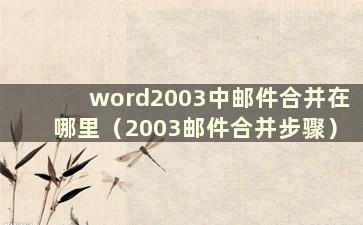 word2003中邮件合并在哪里（2003邮件合并步骤）