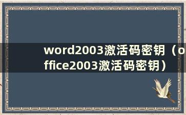 word2003激活码密钥（office2003激活码密钥）