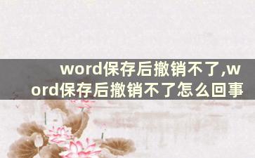 word保存后撤销不了,word保存后撤销不了怎么回事