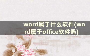 word属于什么软件(word属于office软件吗)