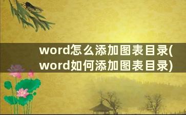 word怎么添加图表目录(word如何添加图表目录)