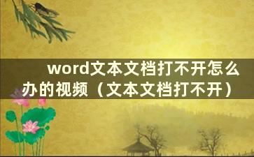 word文本文档打不开怎么办的视频（文本文档打不开）