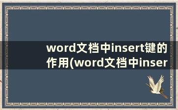 word文档中insert键的作用(word文档中insert)