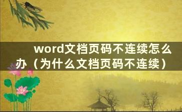 word文档页码不连续怎么办（为什么文档页码不连续）