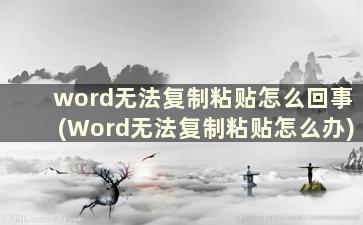 word无法复制粘贴怎么回事(Word无法复制粘贴怎么办)