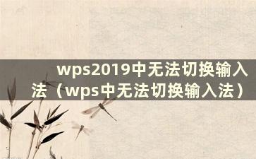 wps2019中无法切换输入法（wps中无法切换输入法）