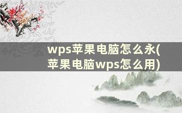 wps苹果电脑怎么永(苹果电脑wps怎么用)