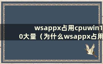 wsappx占用cpuwin10大量（为什么wsappx占用这么多内存）