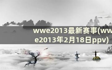 wwe2013最新赛事(wwe2013年2月18日ppv)