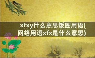 xfxy什么意思饭圈用语(网络用语xfx是什么意思)