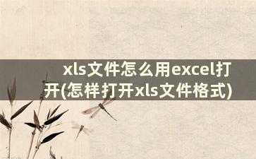 xls文件怎么用excel打开(怎样打开xls文件格式)