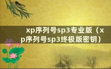 xp序列号sp3专业版（xp序列号sp3终极版密钥）